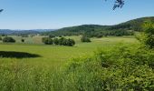 Excursión Bici de montaña Pont-de-Poitte - poitte écrille poitte - Photo 2