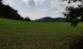 Tour Wandern Stauseegemeinde - Bavigne - Photo 8