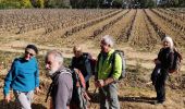 Percorso Marcia Roquebrune-sur-Argens - Roquebrune 25 ponts - Photo 1