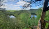 Randonnée Marche Houffalize - lac de Nisramont  - Photo 3