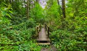 Randonnée Marche Bièvre - Promenade de la Roche Mouselle - Petit-Fays - Photo 6