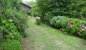 Tour Wandern Lacombe - En forêt de la Loubatière - Photo 2