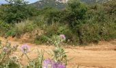 Trail Walking Aregno - Algajola  - Photo 6