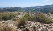 Randonnée Marche Solutré-Pouilly - roche de soluté, roche de Vergisson - Photo 8