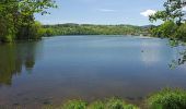 Randonnée A pied Aydat - Le Lac d'Aydat - Photo 2