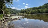 Tour Wandern Bouillon - Lés échelles de Rochehaut - Photo 8