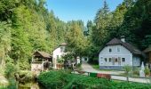 Tour Zu Fuß Sankt Nikola an der Donau - Burg Werfenstein Wanderweg - Photo 6