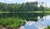 Excursión A pie Oberaudorf - Wanderweg 9 - Oberaudorf - Photo 10