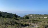 Tour Wandern Le Rove - Fort de Niollon et nord viaduc de La Vesse. - Photo 2