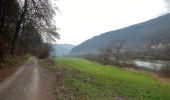 Tocht Te voet Schönbrunn - Rundwanderweg Neckaralm 2: Moosbrunn-Weg - Photo 9