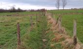 Trail Walking Glabbeek - Bunsbeek - Photo 9