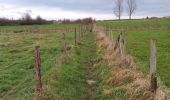 Excursión Senderismo Glabbeek - Bunsbeek - Photo 9