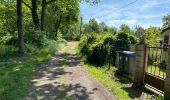 Trail Walking Antoing - Peronnes 16,9 km - Photo 3