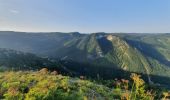 Excursión Senderismo Septmoncel les Molunes - Septmoncel - Le sentier des chamois  - Photo 10