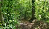 Trail On foot Vaals - Vieux Moulin - Photo 7
