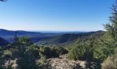 Excursión Senderismo Signes - Mourre d'Agnis en partant de Signes - Photo 5