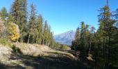 Trail Walking Laye - grande cuque 1018 - Photo 1