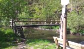 Tocht Stappen Libin - balade du dimanche entre eau et forêt  - Photo 2