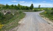 Tocht Mountainbike Ormoy-le-Davien - 130522 - Boucle VTT - Ormoy le davien en passant par le canal de l'Ourc - Photo 8