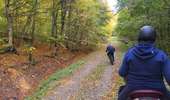 Trail Equestrian Charleville-sous-Bois - Wikiloc - Gondreville - Les secrets des bois - Photo 4