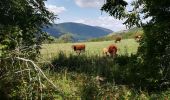 Tocht Mountainbike Le Falgoux - Le Falgoux - Pas de Peyrol - Photo 8