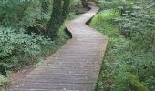 Trail Walking Pluneret - PR_56_Pluneret_DA_05_La-Vallee-Du-Leran_Circuit3b_20230917 - Photo 4