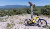 Trail Mountain bike Mormoiron - Traversée Ventoux Sud - Photo 1