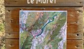 Trail Walking Aillon-le-Jeune - Petit circuit découverte aillon le jeune - Photo 6