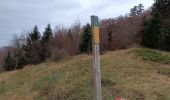 Trail Walking La Chapelle-en-Vercors - Serre Plumé  - Photo 9