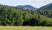 Tour Wandern Senez - SENEZ , clue de la Melle. , chapelle  de la Melle ,  o s - Photo 2