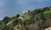 Tour Wandern Camogli - Punta Chiara 2.5.23 - Photo 7