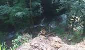Trail Walking Mouthier-Haute-Pierre - gorges de noailles  - Photo 20