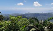 Tour Wandern Le Lorrain - Boucle Morne Jacob - Photo 13