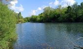 Tour Wandern Viols-le-Fort - thezan les Béziers  - Photo 1