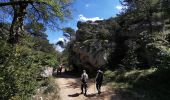 Randonnée Marche Signes - Tour du baou de Serein - Photo 11