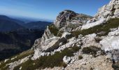 Excursión Senderismo Saint-Pierre-de-Chartreuse - tour de la Dent de crolles par des sangles  - Photo 4