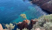 Excursión Senderismo Saint-Raphaël - Cap Roux par l'Est depuis la gare du Trayas - Photo 10