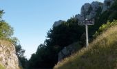 Excursión Senderismo Léoncel - Pierre Chauve - Col de Tourniol - Photo 2