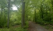 Trail Walking Esneux - à travers les bois d Anthines et d Esneux - Photo 12