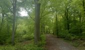 Tour Wandern Esneux - à travers les bois d Anthines et d Esneux - Photo 12