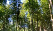 Tour Wandern Ittre - Marche Adeps - Virginal - Photo 2