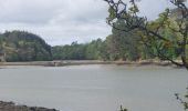 Tour Wandern Le Bono - PR_56_Pluneret_AC_07_Les-2-Rivieres_Circuit4a_20250414 - Photo 6