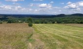 Tour Wandern Beauraing - Froidfontaine 010522 - Photo 5