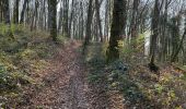 Trail Walking Villers-lès-Luxeuil - Trou de la sorcière et nichoirs mésanges  - Photo 1