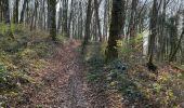 Percorso Marcia Villers-lès-Luxeuil - Trou de la sorcière et nichoirs mésanges  - Photo 1