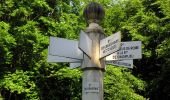 Trail On foot Tracy-le-Mont - le GR655 dans les Forêts de Laigue et de Compiègne - Photo 2