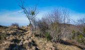 Tour Wandern Saou - Forêt de Saoû - Les Pomerolles - Photo 10