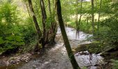 Tour Wandern Hohenfels - Houffalize 270622 - Photo 10