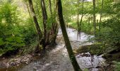 Trail Walking Houffalize - Houffalize 270622 - Photo 10