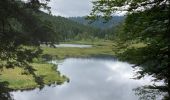 Tocht Stappen La Bresse - Tour du lac de Lispach + tête de Grouvelin  - Photo 2